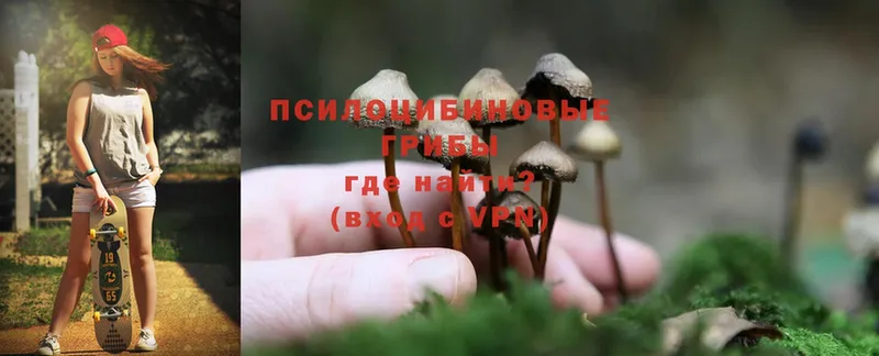 сколько стоит  Каспийск  Галлюциногенные грибы Magic Shrooms 